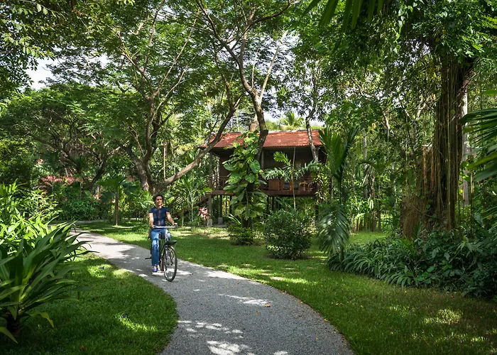Maison Polanka Ciudad de Siem Riep
