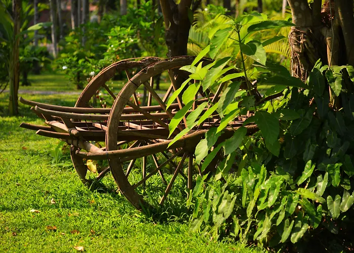 Maison Polanka Resort
